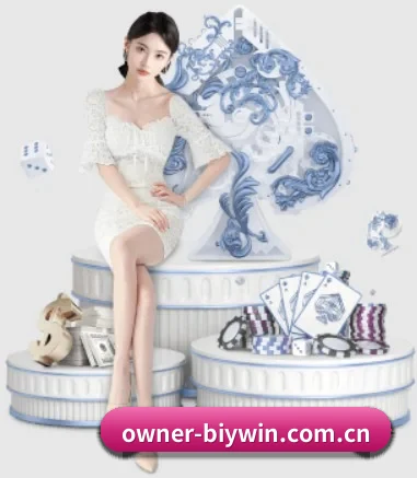 owner-biywin.com.cn的故事